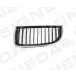 BMW-3 (Е-90) 05-09 Решетка рад-ра черная L