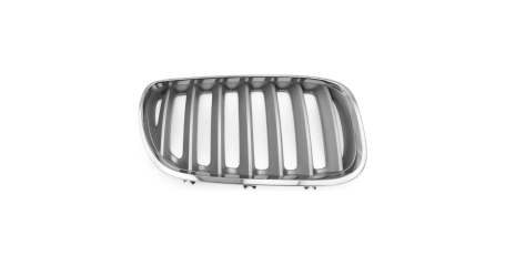 BMW-X5 (E53) 04-06 Решетка рад-ра Titan R