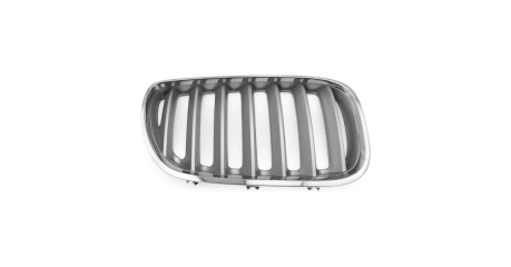 BMW-X5 (E53) 04-06 Решетка рад-ра Titan R